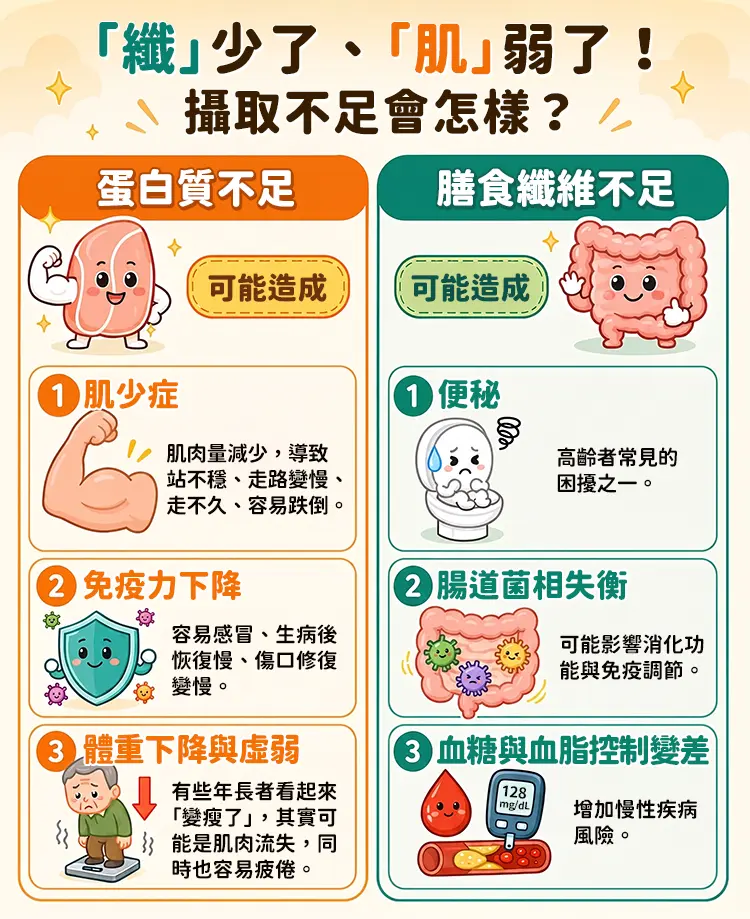「纖」少了、「肌」弱了!攝取不足會怎樣?