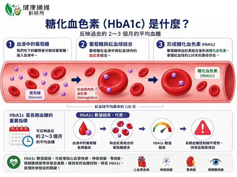 糖化血紅素(HbA1c)是什麼?_健康纖維創研所